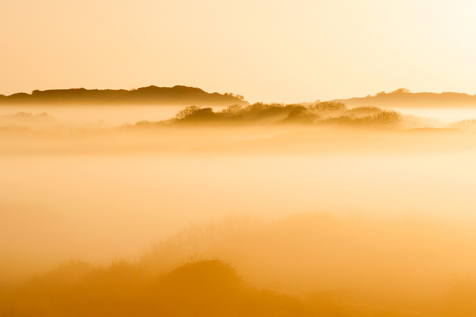 https://d1juwyfgrqwa02.cloudfront.net/media-library/product/442/AGAMI-Dunes-at-Katwijk-Marc-Guyt-104309.jpg
